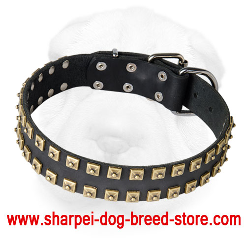 "Caterpillar" Design Leather Dog Collar for Shar-Pei
