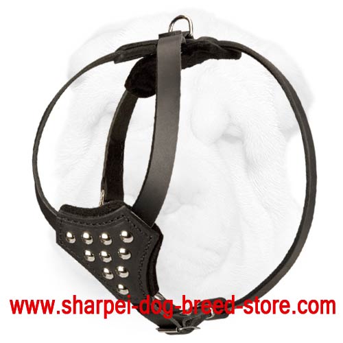 Shar-Pei Puppy Harness with Studs Decorated Chest