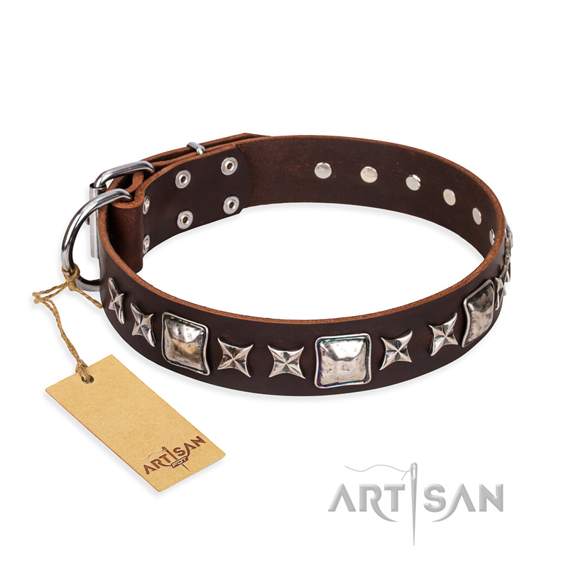 "Perfect Impression" FDT Artisan Brown Leather Shar Pei Collar with Shining Studs - 1 1/2 inch (40 mm) Wide