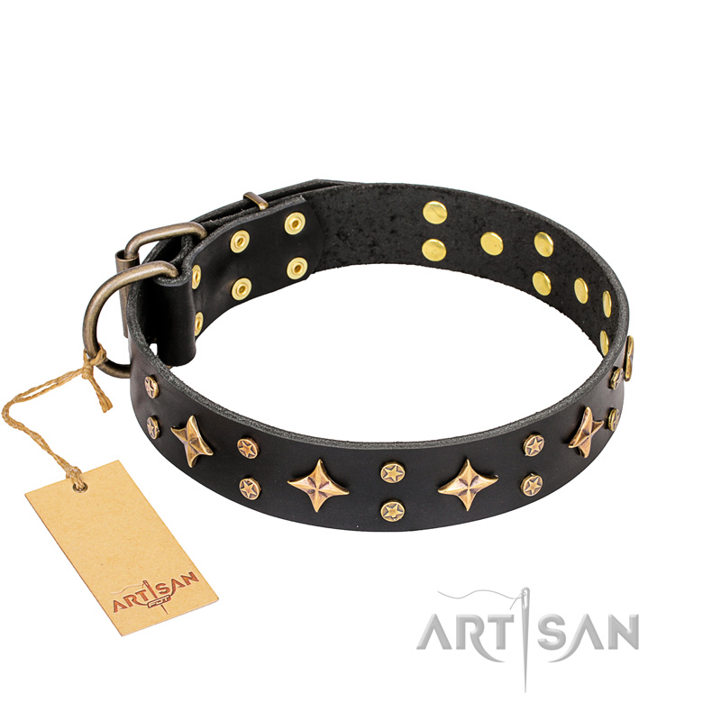 handmade dog collars and leashes