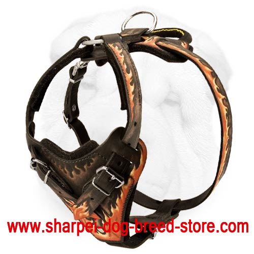 Heavy Duty Leather Harness for Shar Pei Red Flames Painted