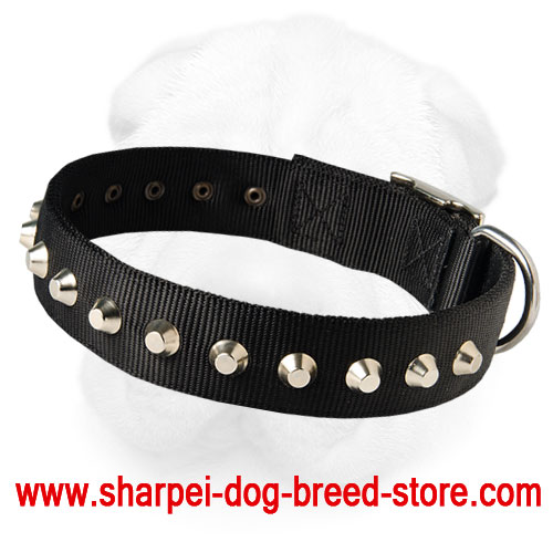 Nylon Shar-Pei Collar with Nickle Pyramids