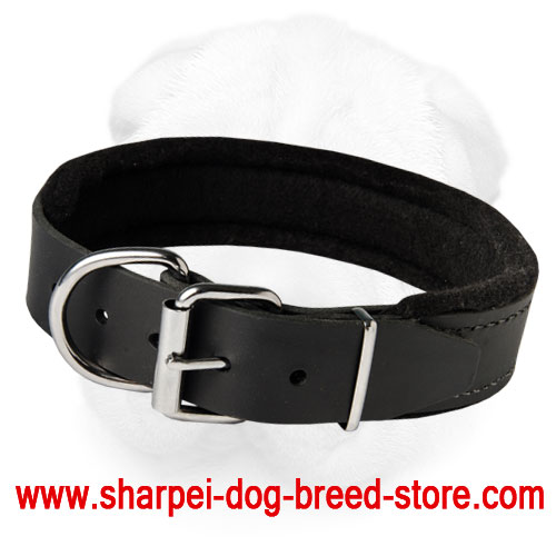 Padded Shar-Pei Collar for Agitation Training and Everyday Walking (Wide)