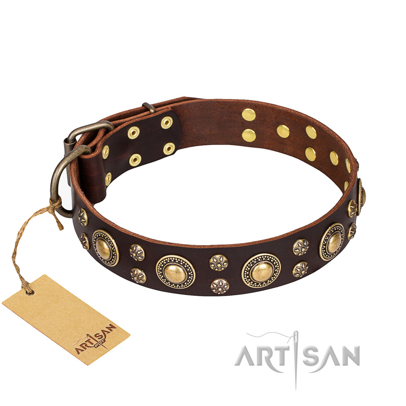 'Flower Melody' FDT Artisan Brown Leather Shar Pei Collar with Mixed Studs