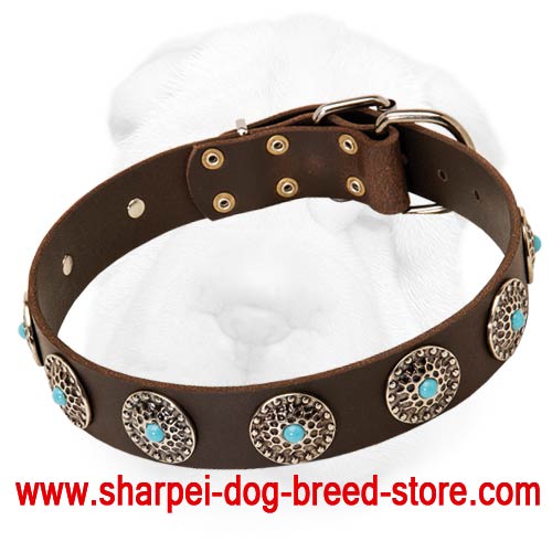 Wide Leather Collar with Silver Plated Blue Stones Decorated Conchos for Shar Pei