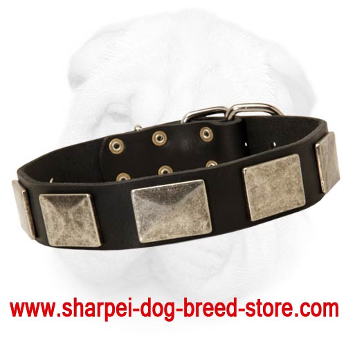 Leather Collar with Massive Hardware for Shar Pei Dogs - Click Image to Close