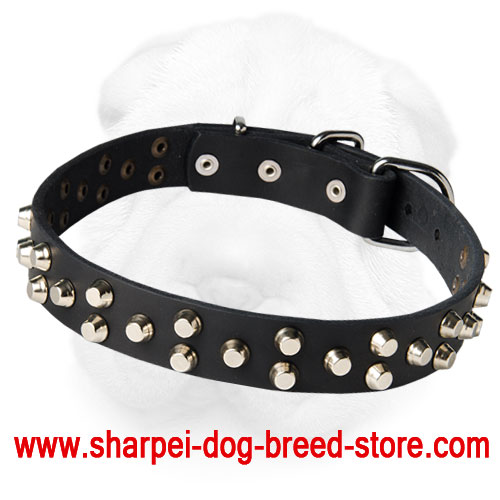 Leather Shar-Pei Collar Decorated with Nickel Plated Pyramids