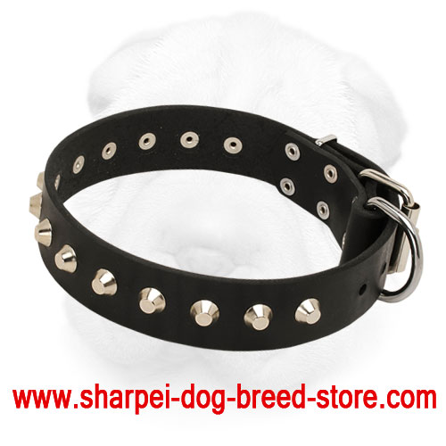 Leather Shar-Pei Collar with Nickel Plated Pyramids