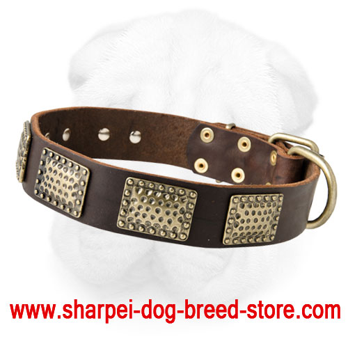 Leather Shar-Pei Collar Decorated with Vintage Brass Plates