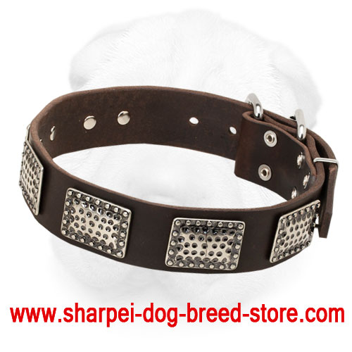 Leather Shar-Pei Collar Decorated with Vintage Nickel Plates