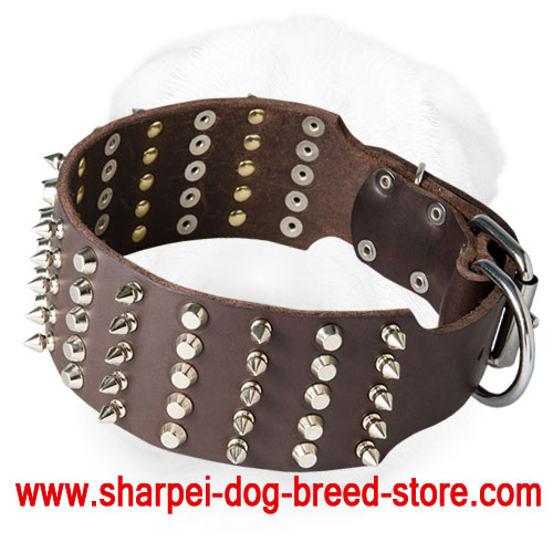 Wide Shar-Pei Collar Decorated with Spikes and Studs