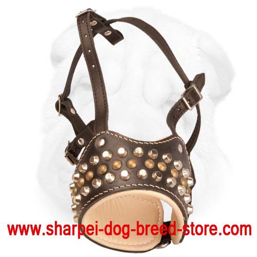 Studded Nappa Padded Muzzle