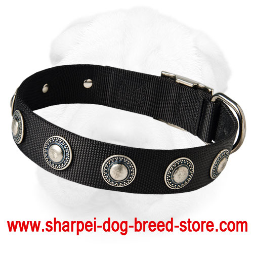 Nylon Shar-Pei Collar with Silver Conchos