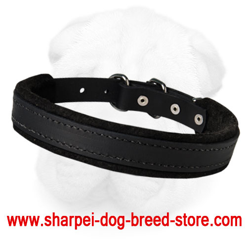 Padded Shar-Pei Collar for Agitation Training (2.5 cm)