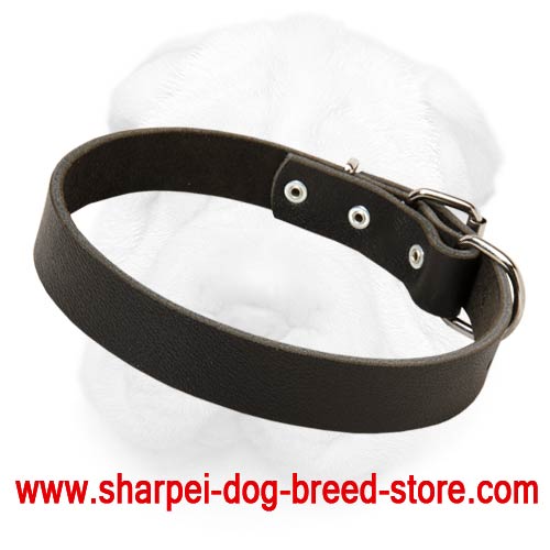 Plain Design Full Grain Leather 1 1/5 Inch Wide Collar for Shar Pei