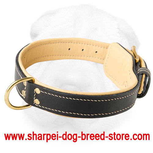 Royal Shar-Pei Collar with Nappa Padding - Click Image to Close