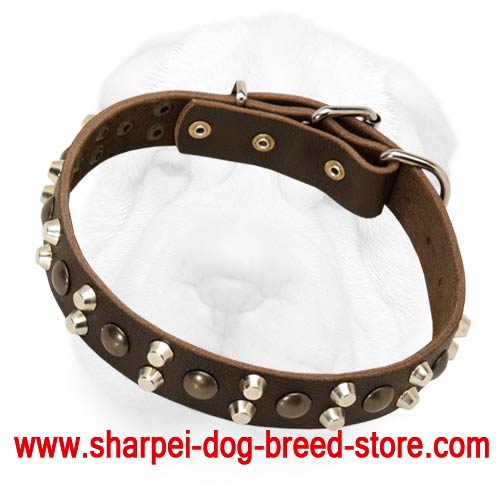 Wide Leather Buckle Collar with Staggered-Order Metal Ornament for Shar Pei