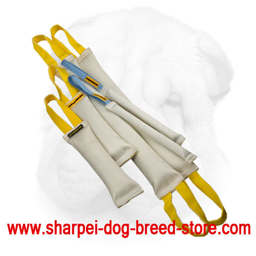 Fire Hose Bite Training Set for Shar Pei