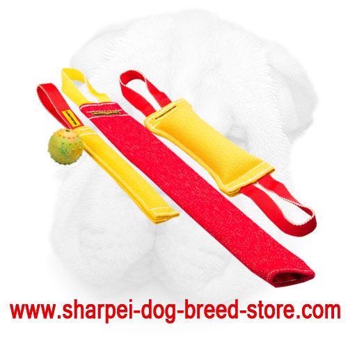 French Linen Bite Set for Shar Pei