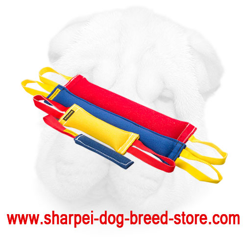 French Linen Bite Tug Set for Effective Shar Pei Training - Click Image to Close