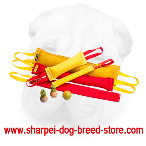 French Linen Bite Set for Shar Pei Activities