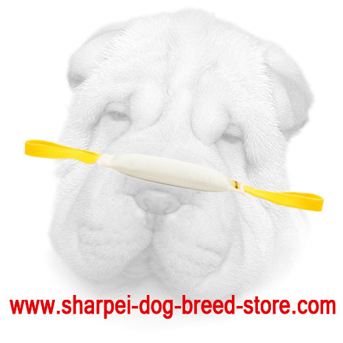 Fire Hose Shar Pei Bite Tug for Everyday Training Sessions