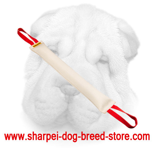 Shar Pei Everyday Training Bite Tug Made of Fire Hose