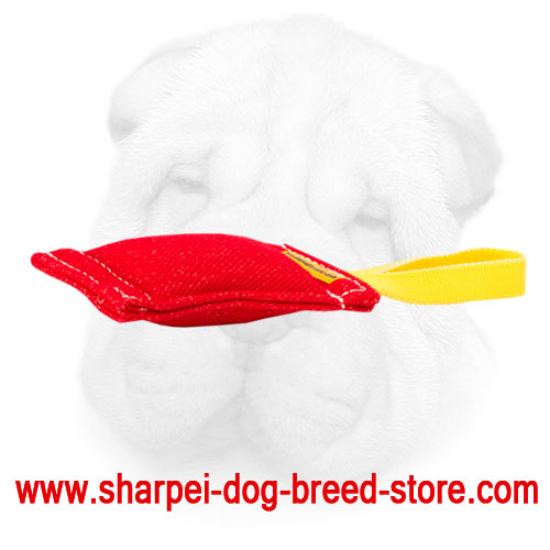 French Linen Shar Pei Bite Tug with Long Handle