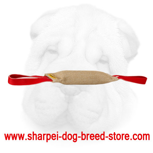 Jute Shar Pei Bite Tug with Two Durable Handles
