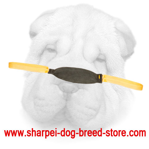 Small Leather Bite Tug for Shar Pei Puppies