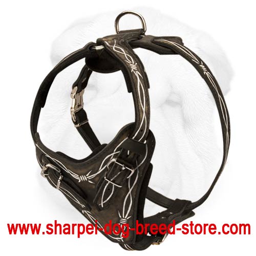 Leather Agitation Training Harness with Hand Set Painting