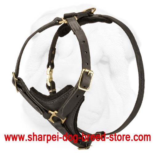 Walking/Tracking Shar Pei Dog Harness Comfortable for Prolonged Work