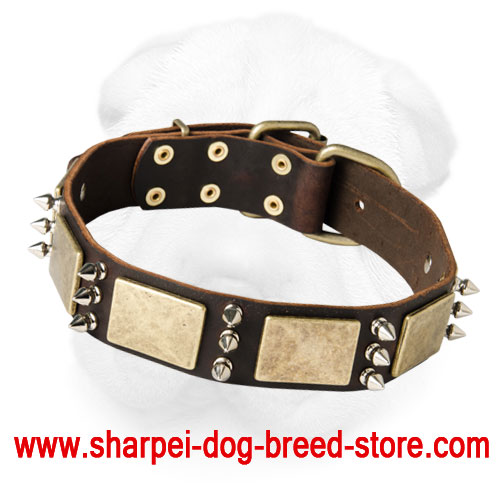 Spiked Leather Collar with Massive Brass Plates&Spikes