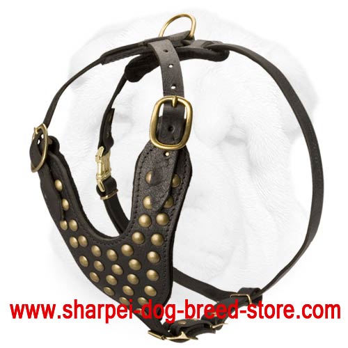 Arete Heavy Duty Leather Dog Harness 