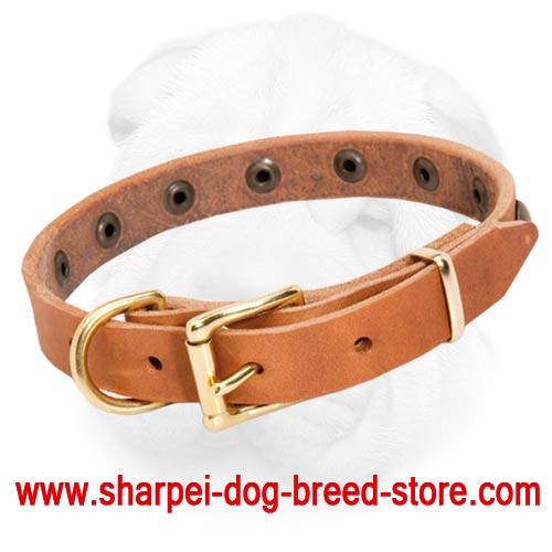 Leather Shar-Pei Collar Decorated with Brass Studs