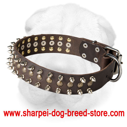 Leather Shar Pei Collar with Nickel Spikes and Brass Studs