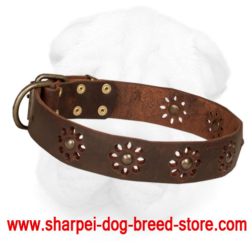 'Spring Melody' Leather Shar Pei Everyday Collar