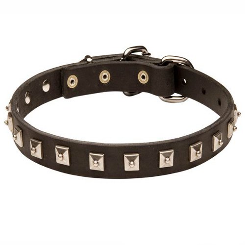 Slim Leather Collar with Square Studs for Shar Pei