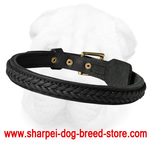2 Ply Braided Leather Collar for Training and Walking