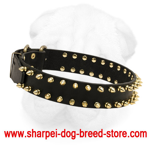 Genuine Leather Shar Pei Collar with Brass Spikes