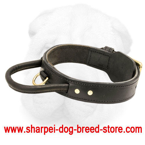 Shar Pei collar -2 ply leather agitation dog collar with handle - Click Image to Close