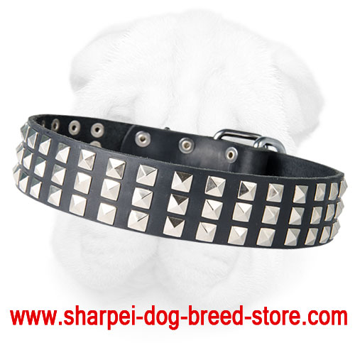 Stylish Shar Pei Collar with Nickel Studs
