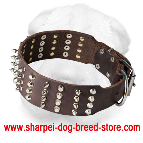 Wide Leather Shar Pei Collar with Spikes and Pyramids