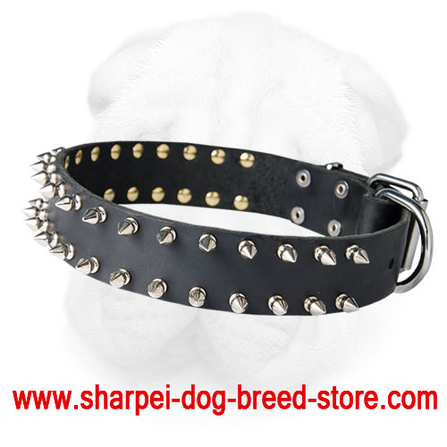 Genuine Leather Shar Pei Collar with Shining Nickel Spikes