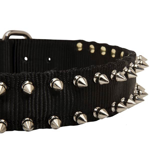 Nylon Shar Pei Collar with Nickel Plated Spikes