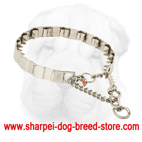 Stainless Steel Pinch Collar for Misbehaving Shar Pei