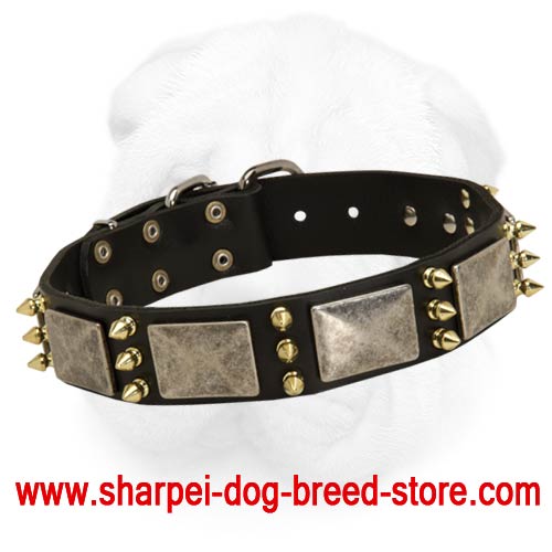 Shar-Pei Collar Decorated with Old Nickel Massive Plates and Brass Spikes