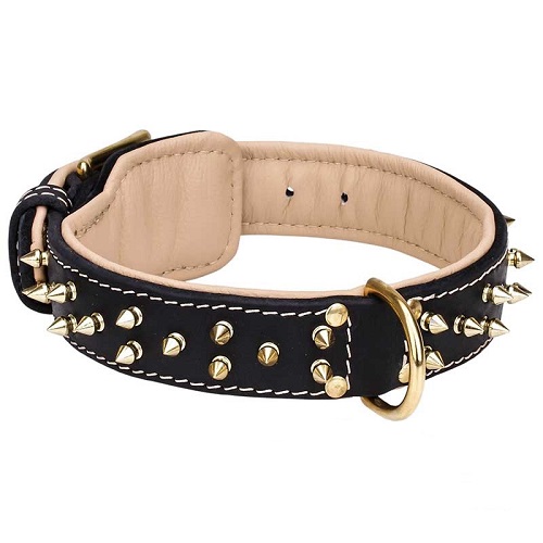 Spiked Shar-Pei Collar with Nappa Padding