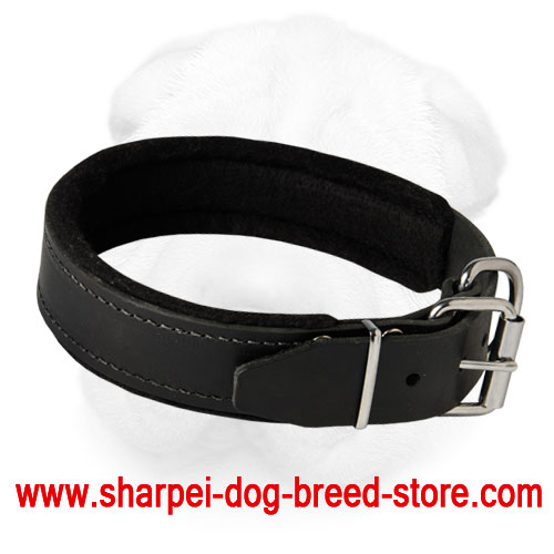 Shar Pei Padded Leather dog collar with thick felt- C24