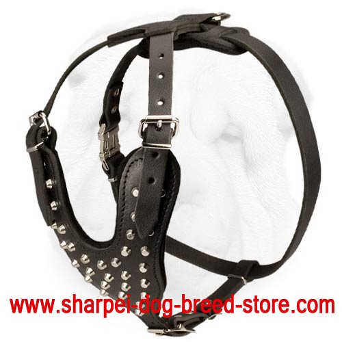 Studded Leather Dog Harness with Y-shaped Chest Plate for Shar Pei